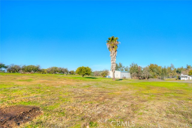 Ridgeview, 95966, ,Commercial,For Sale,Ridgeview,OR20128073