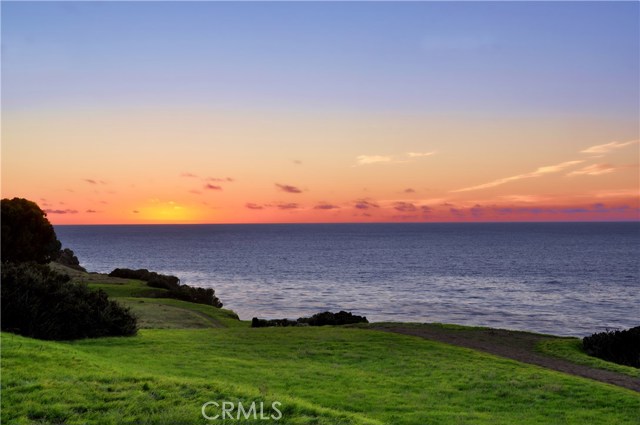 Area photo of the bluff and walking trail