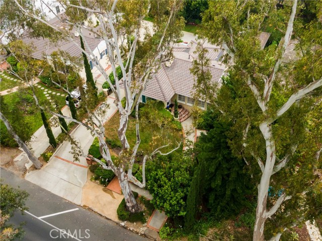 3316 Palos Verdes Drive, Palos Verdes Estates, California 90274, 3 Bedrooms Bedrooms, ,2 BathroomsBathrooms,Residential,Sold,Palos Verdes,PV19136964