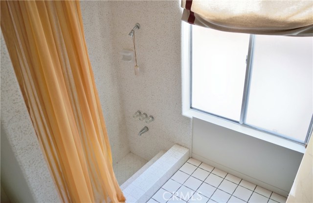 Master Bath sunken shower/tub