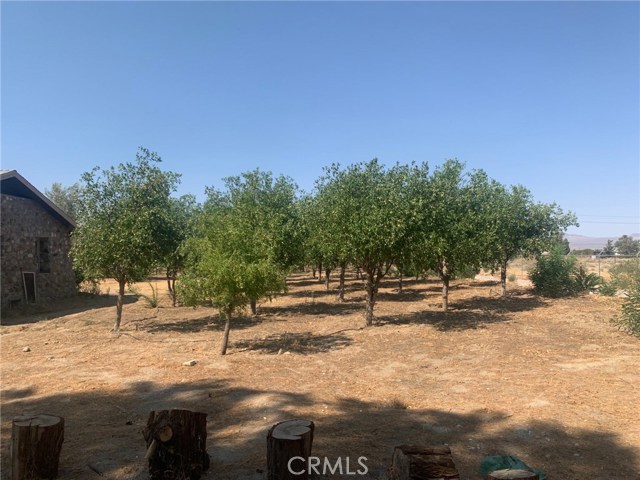 State Highway 18, 92356, ,Commercial,For Sale,State Highway 18,CV20167089