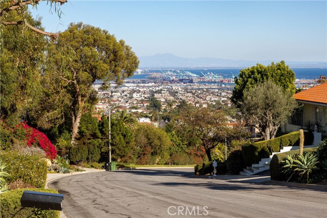 About the only cars that travel this street are the neighbors down below and a gardener or two.  This street has no through traffic above or below.  Very quiet.