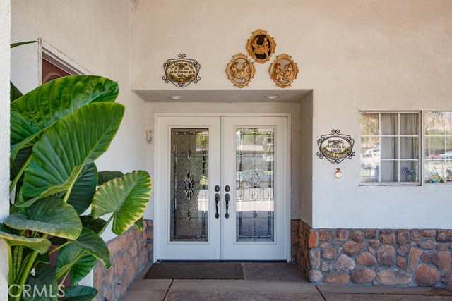 French entrance door