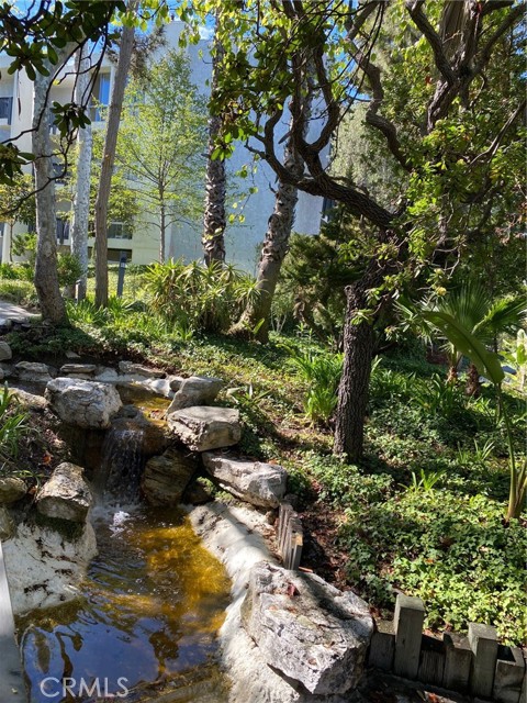 Waterfalls near the clubhouse