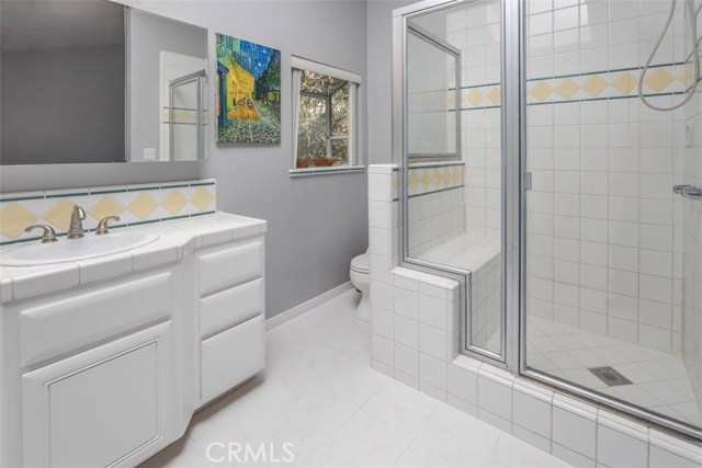 Large master bathroom has skylight for plenty of natural light and bay window.