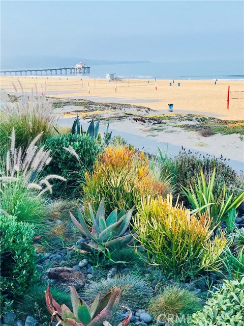 220 23rd Street, Manhattan Beach, California 90266, 3 Bedrooms Bedrooms, ,1 BathroomBathrooms,Residential,Sold,23rd,OC19050321