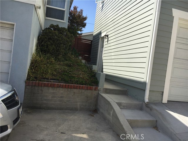 The rear "garden" west of the house.