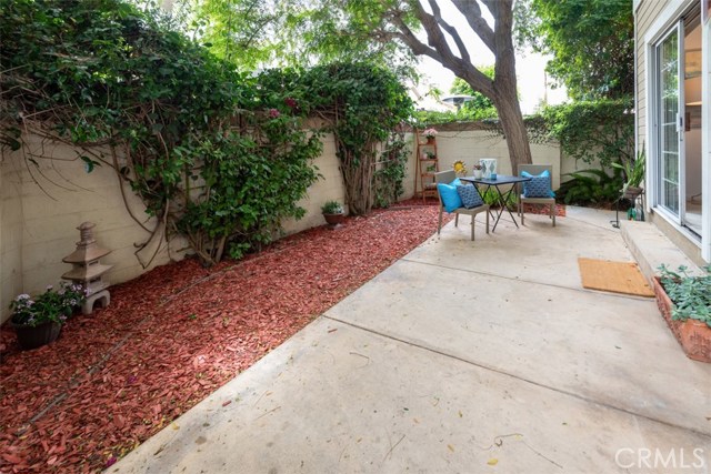 Tranquil patio garden