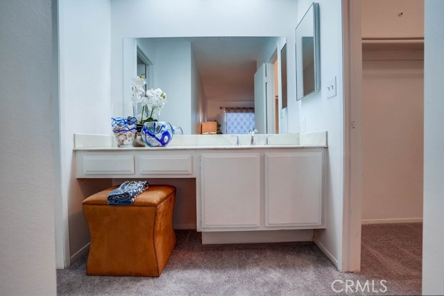 Master vanity area