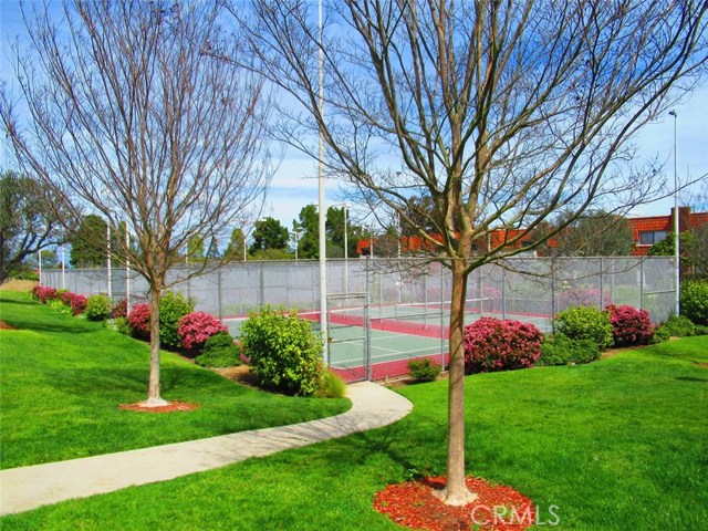 PADDLE TENNIS COURTS.