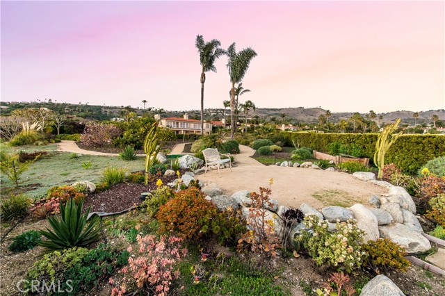 Walking path in backyard leads to sitting area in tranquil succulent garden