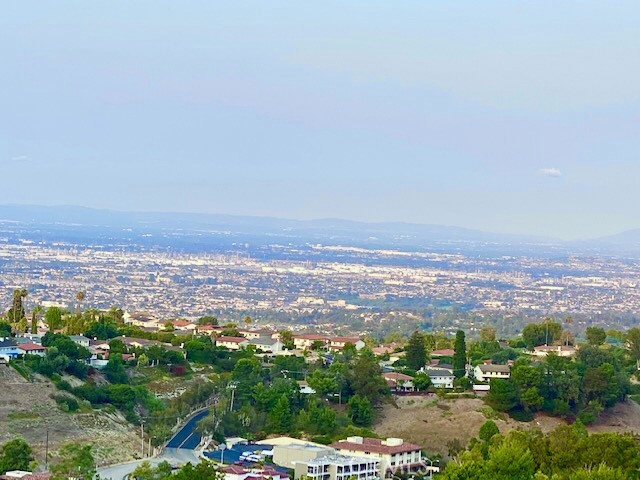 View from the home