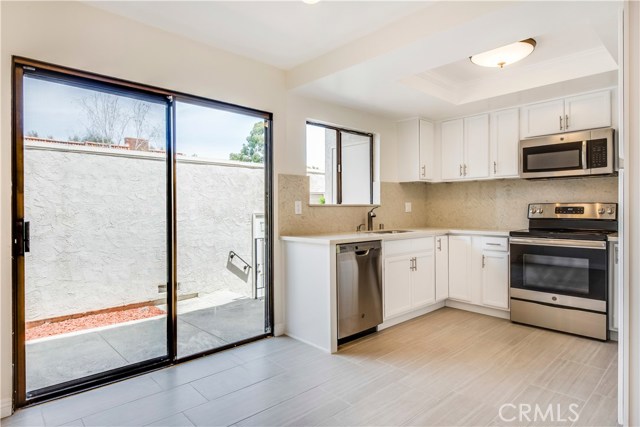 Stainless Steel Sink and Appliances