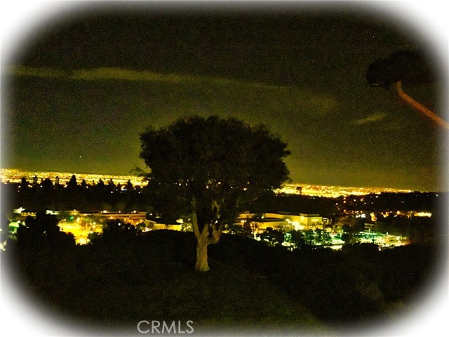 City Lights & Night Time View