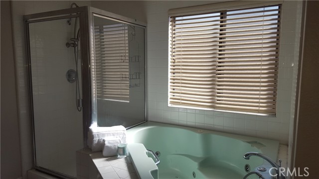 Master Bathroom with Jetted Tub and Separate Shower