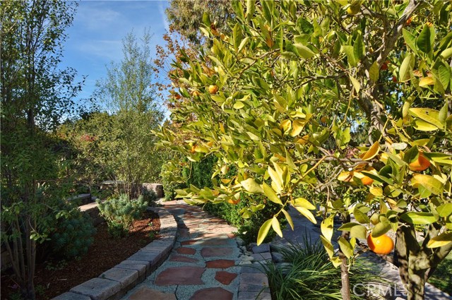 Lush Landscaping and Fruit Trees Are Part of This Fabulous Setting