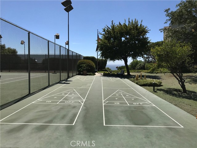 Shuffleboard Court