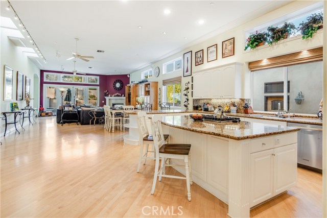 Open Floor Plan Great Room from Kitchen to Family Room