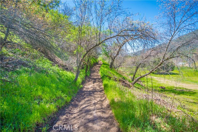 Potato Canyon, 92399, ,For Sale,Potato Canyon,IG20051834