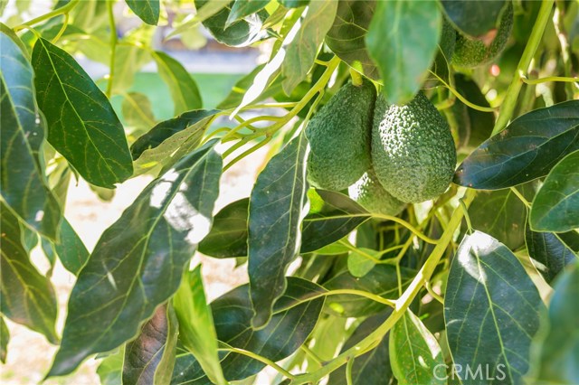 2721 Clarellen Street, Torrance, California 90505, 3 Bedrooms Bedrooms, ,1 BathroomBathrooms,Residential,Sold,Clarellen,SB18268231