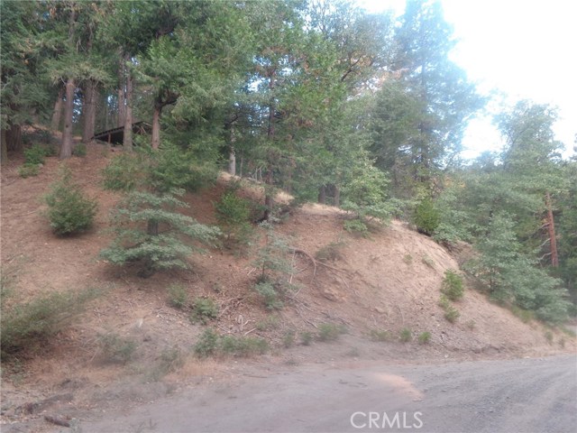 Detail Gallery Image 1 of 1 For 33 Mojave River Rd, Crestline,  CA 92322 - – Beds | – Baths