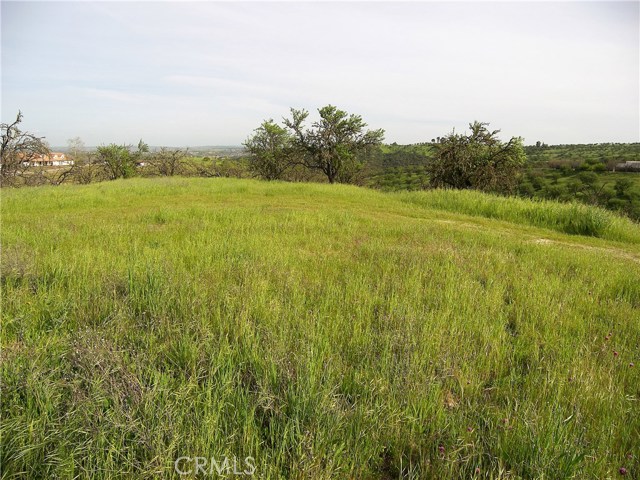 Valley Quail Place, Paso Robles, CA, 93446 Valley Quail Place
