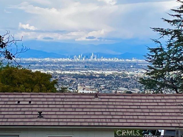 Beautiful view of downtown Los Angeles