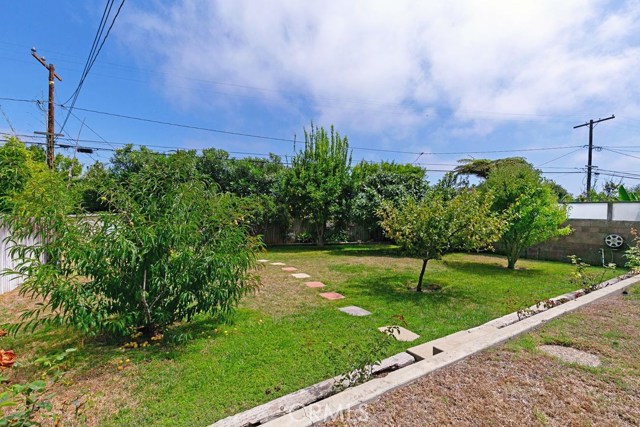 Beyond the pool there are 2 steps down to the back of the yard with avocado & fruit trees.