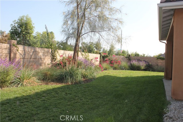 Spacious backyard with shade in the afternoon.