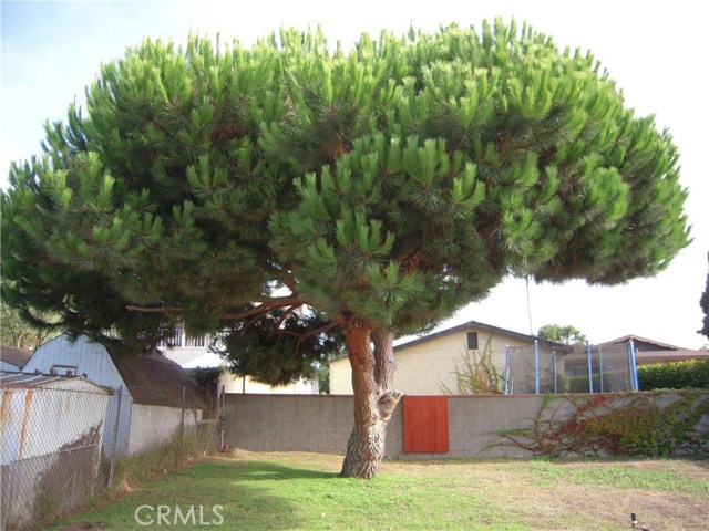 1062 Avenue C, Redondo Beach, California 90277, 2 Bedrooms Bedrooms, ,1 BathroomBathrooms,Residential,Sold,Avenue C,SB20138580