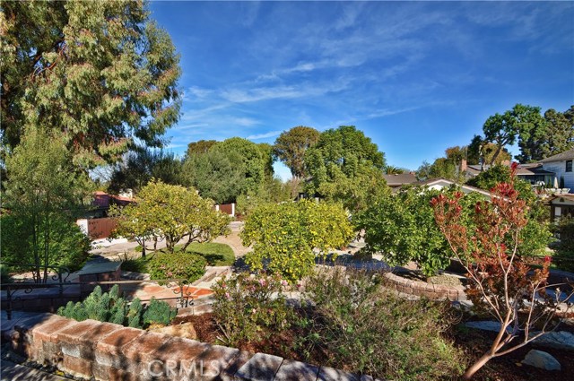 Pick Avocados, Tangerines, Oranges, Lemons, and Limes from Your Own Mini-Orchard