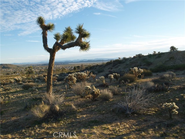Conejo, 92252, ,For Sale,Conejo,JT17049562