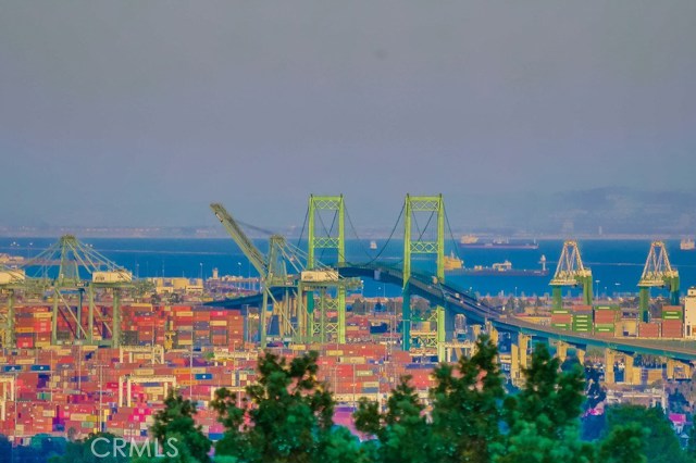 Vincent Thomas Bridge view