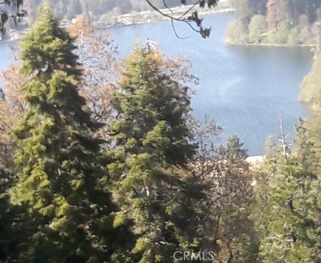 Featured Property - Jane Forster Realty