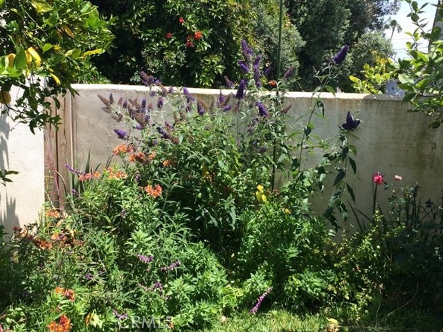 Left to right:
1. Yellow/orange - Alstroemeria (Peruvian lily)
2. Purple - Buddleia (Butterfly Bush)  Note: Hummingbirds and butterflies love it
3.  Red and pink – Mini Roses (do not require much care)