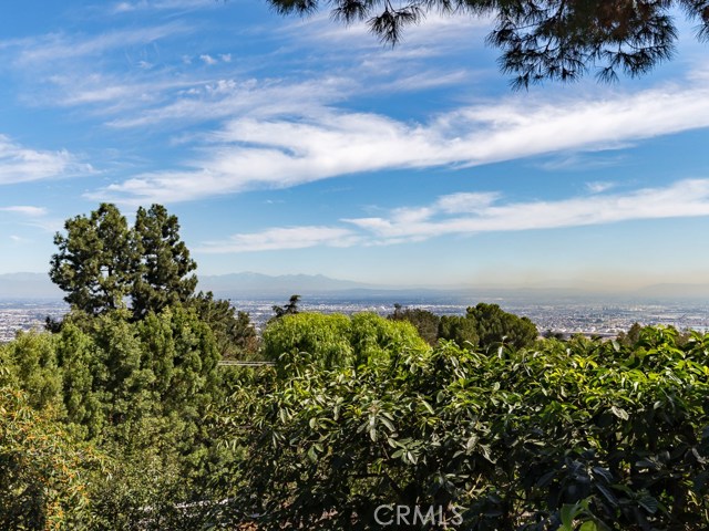 8 Eastfield Drive, Rolling Hills, California 90274, 5 Bedrooms Bedrooms, ,2 BathroomsBathrooms,Residential,Sold,Eastfield,SB17221489