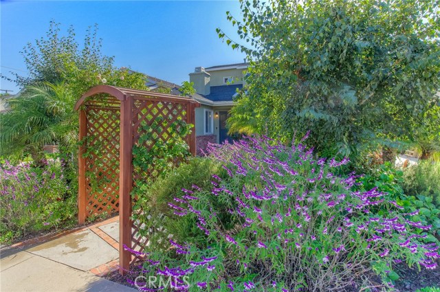 Professionally landscaped and maintained front yard garden