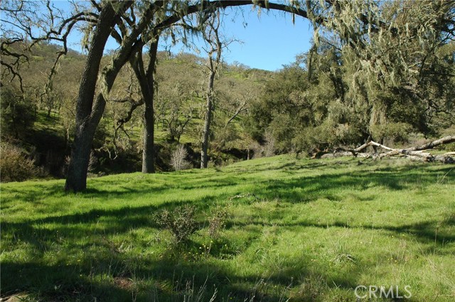 0 Nacimiento Lake Drive, 93446, ,For Sale,Nacimiento Lake,NS19046760