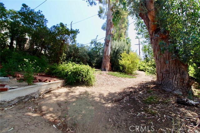 Trail Access behind property