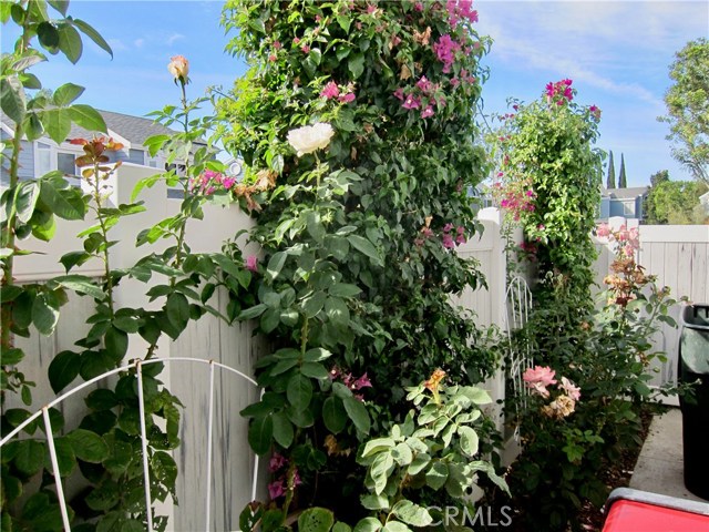 2 Willowood, Aliso Viejo, CA 92656 photo 25