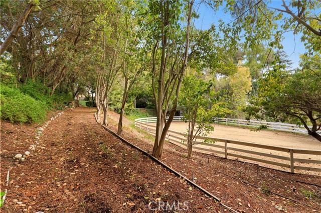 Great shot of Trail Track leading you to the street!