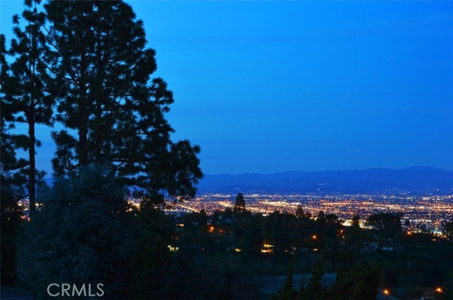 City lights close up.