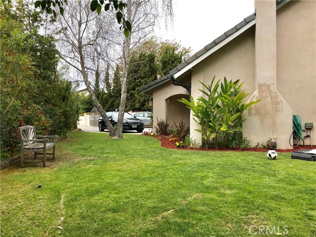 Large, flat grassy side yard - plenty of room for trampoline and playing.