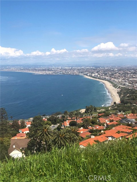 2545 Via Campesina, Palos Verdes Estates, California 90274, 2 Bedrooms Bedrooms, ,2 BathroomsBathrooms,Residential,Sold,Via Campesina,SB20260526