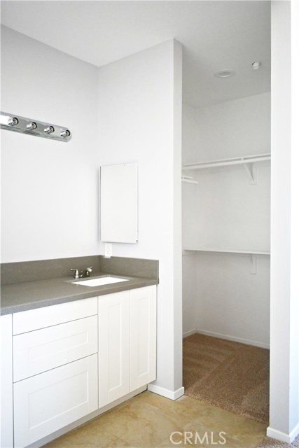 Master bath sink & walk in closet