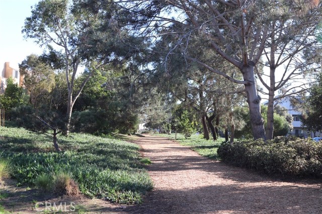 The Greenway Walking Trail