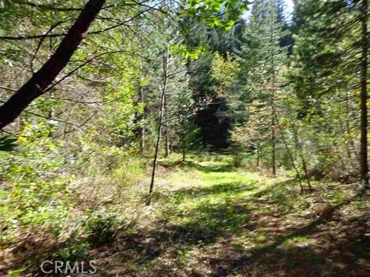 13193 Oroquincy Highway, Berry Creek, CA, 95916 13193 Oroquincy Highway