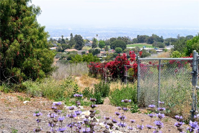 This beautiful view is at the end of the street, not from the home.