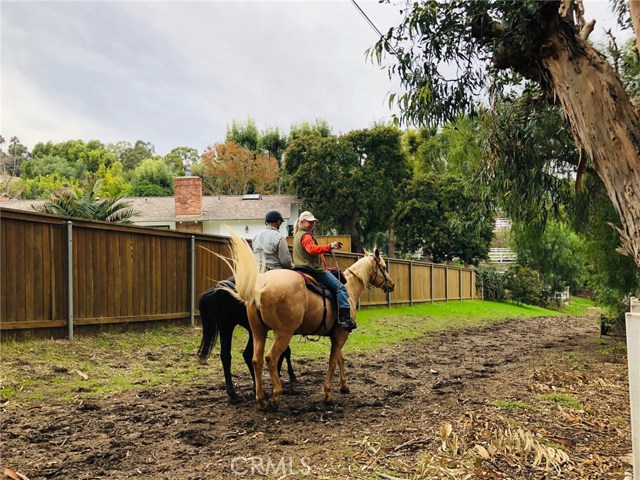 19 Buckskin Lane, Rolling Hills Estates, California 90274, 4 Bedrooms Bedrooms, ,2 BathroomsBathrooms,Residential,Sold,Buckskin,PV18287807