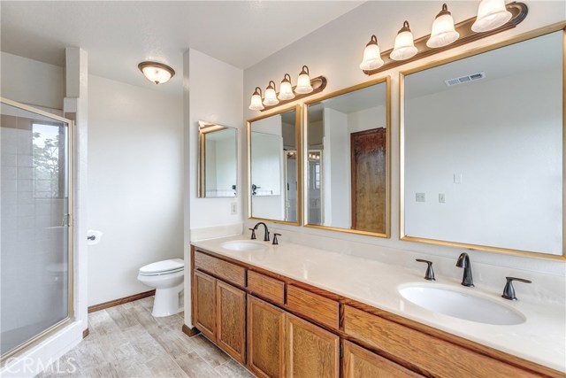 Walk in shower- New toilet, Upgraded fixtures and faucets